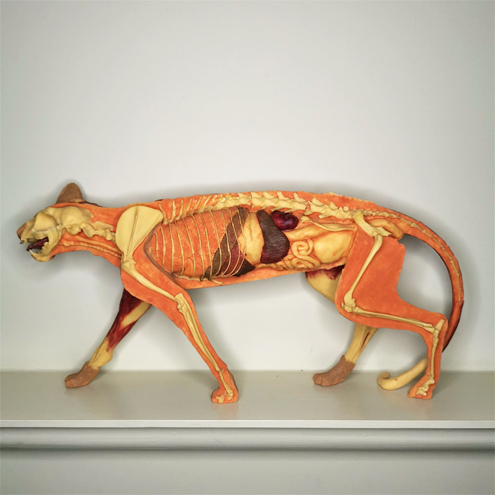 Pussycat Pussycat