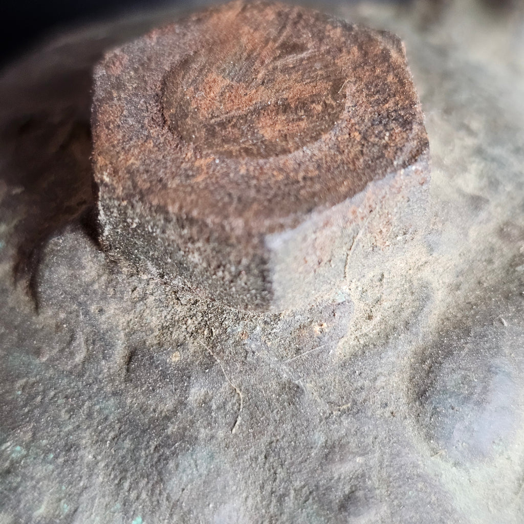 Bronze Chihuahua Figure Mold