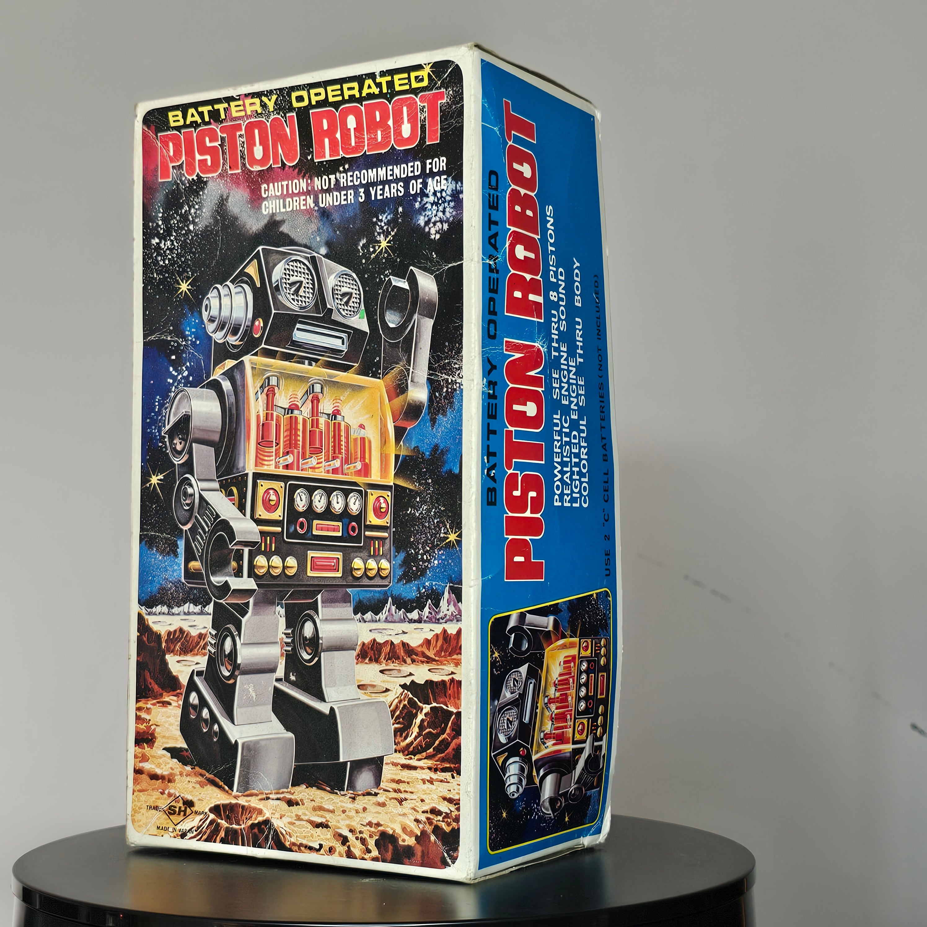 Horikawa Piston Robot