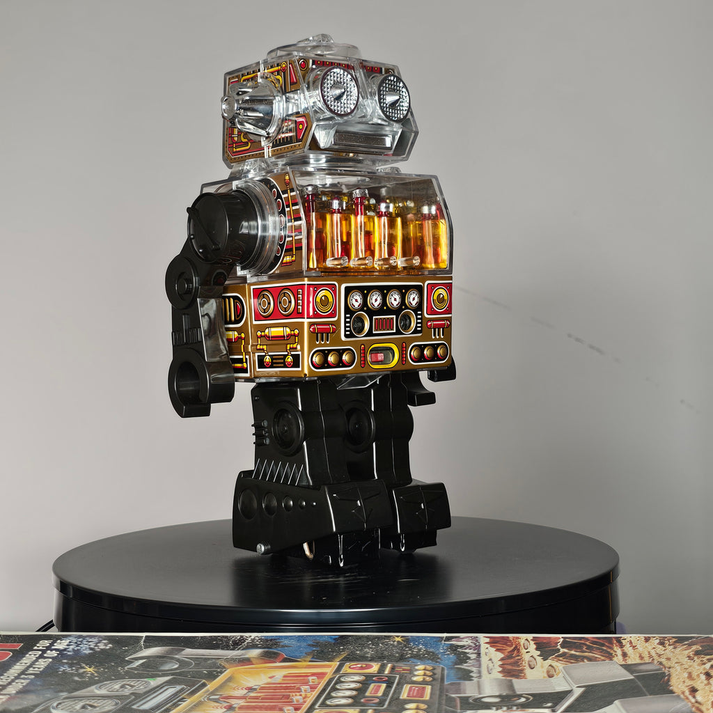 Horikawa Piston Robot