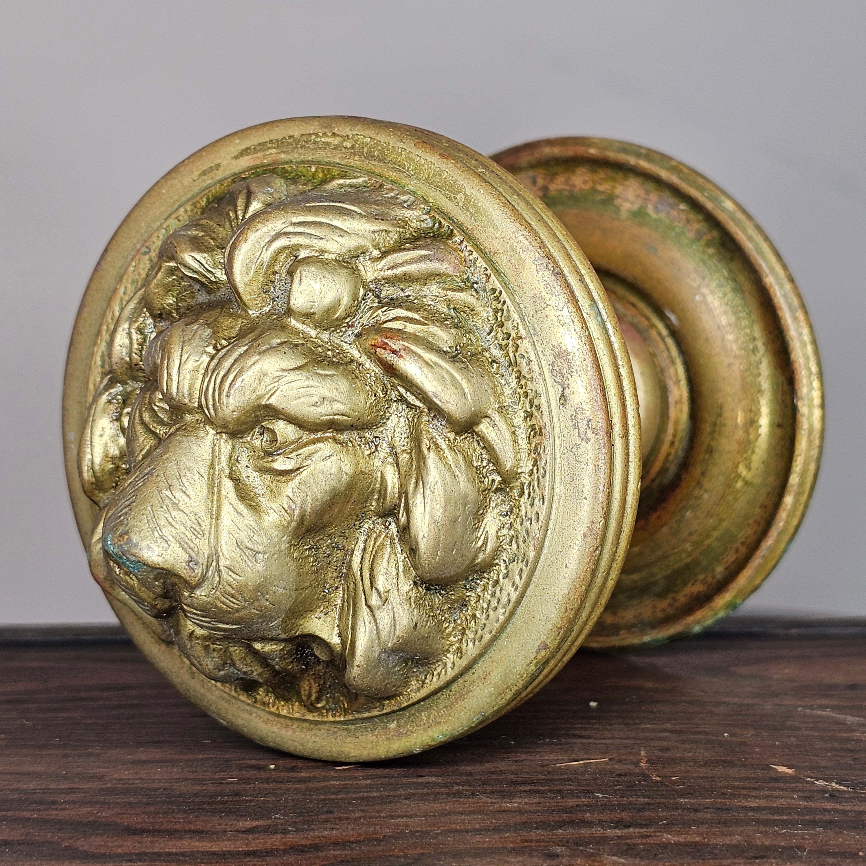 Cast Brass Lion Head Door Pull