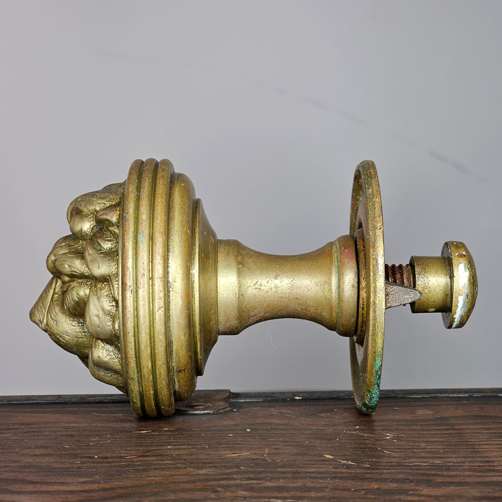 Cast Brass Lion Head Door Pull