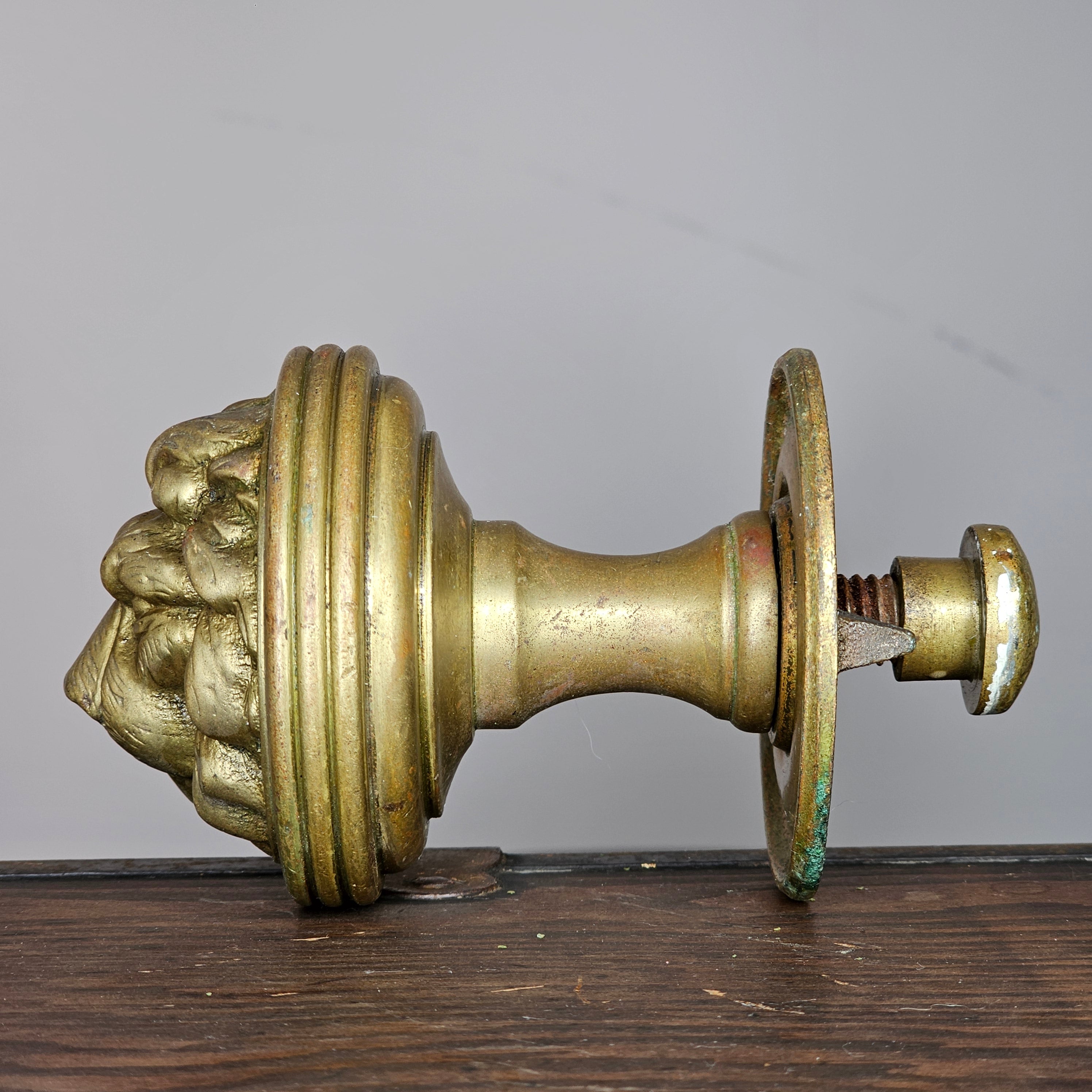 Cast Brass Lion Head Door Pull