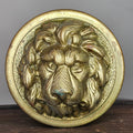 Cast Brass Lion Head Door Pull