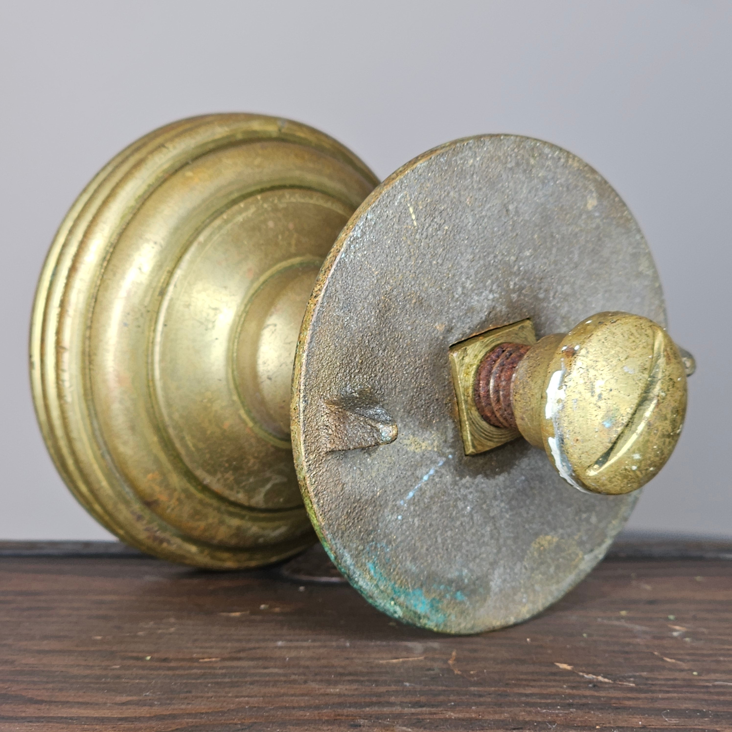 Cast Brass Lion Head Door Pull