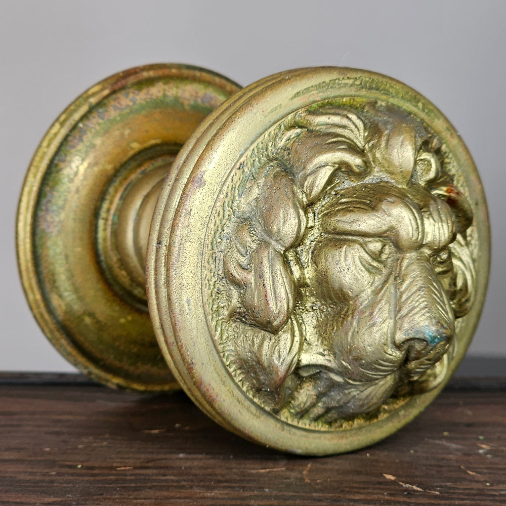 Cast Brass Lion Head Door Pull
