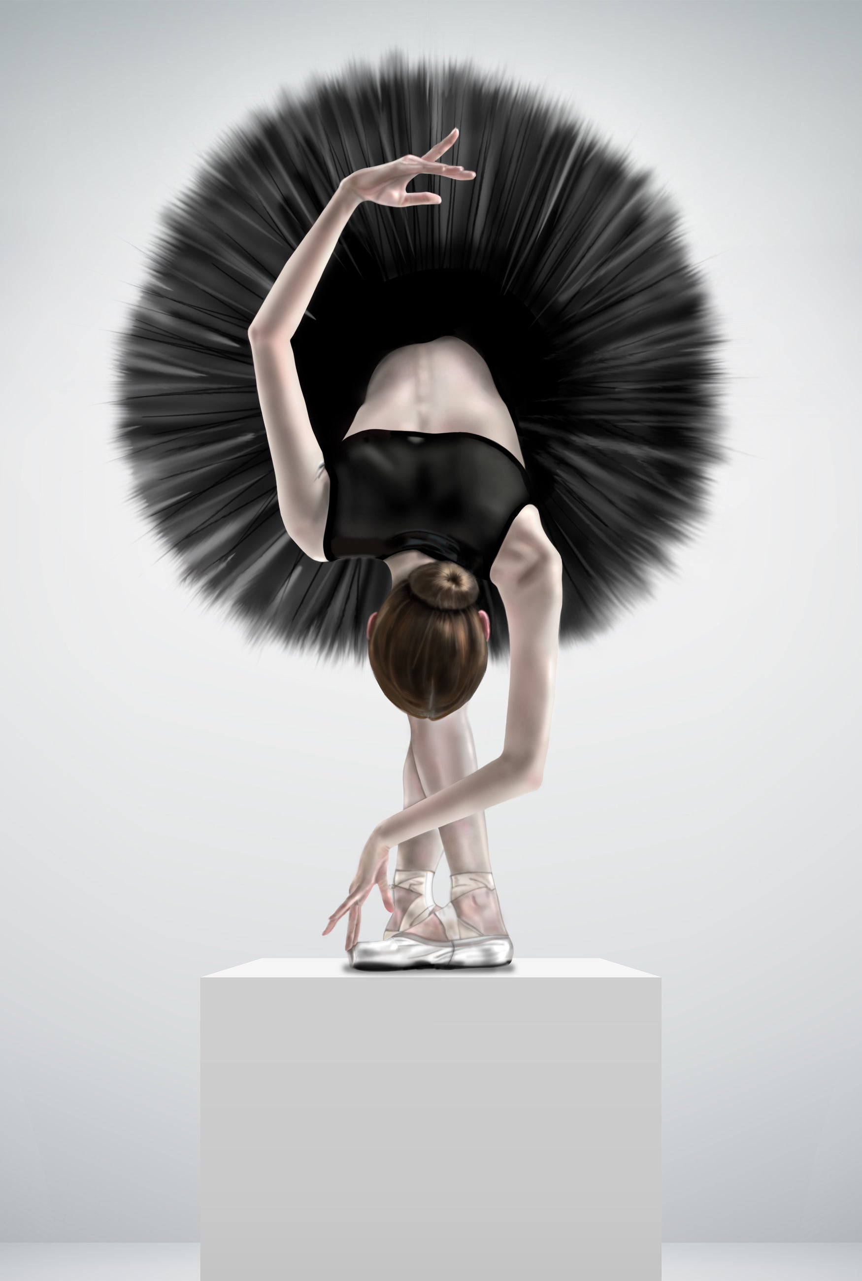 Black Swan by Tracy Dawe