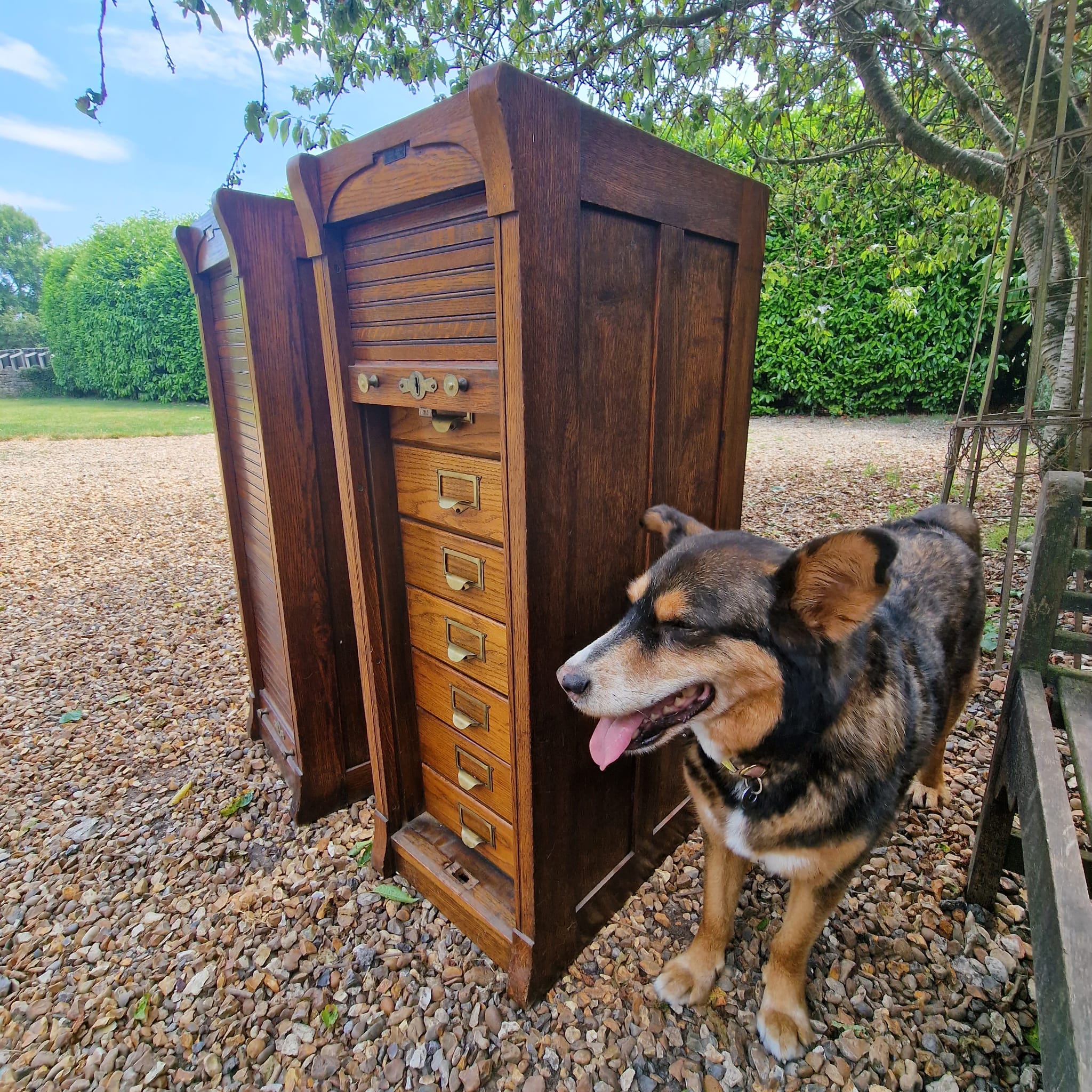 Francis Smith of Glasgow Collector Cabinets (Pair)