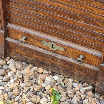 Francis Smith of Glasgow Collector Cabinets (Pair)