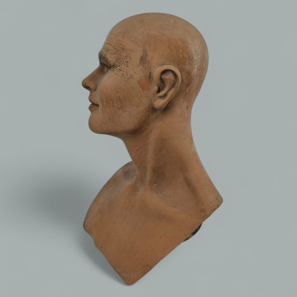 Mannequin Bust