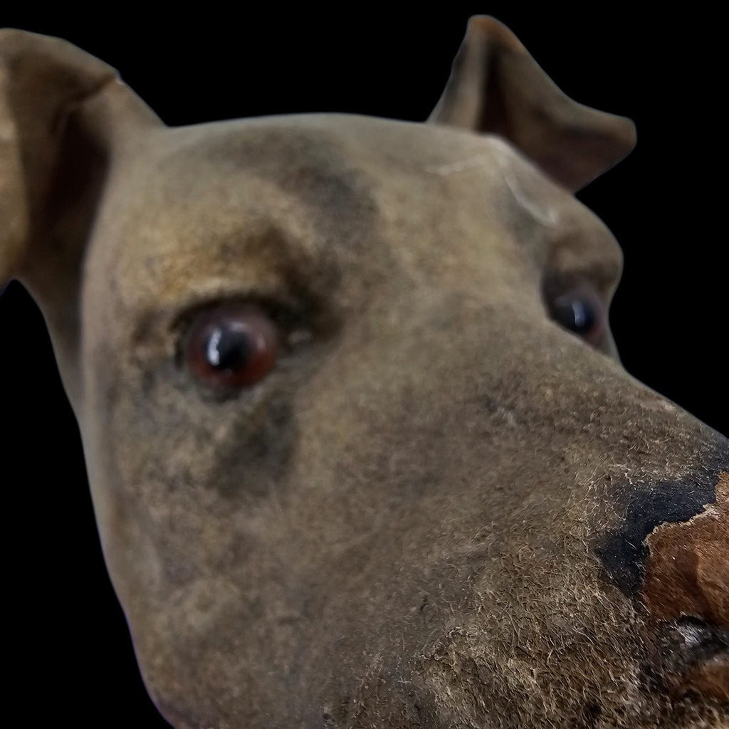 Dog Puppet Head