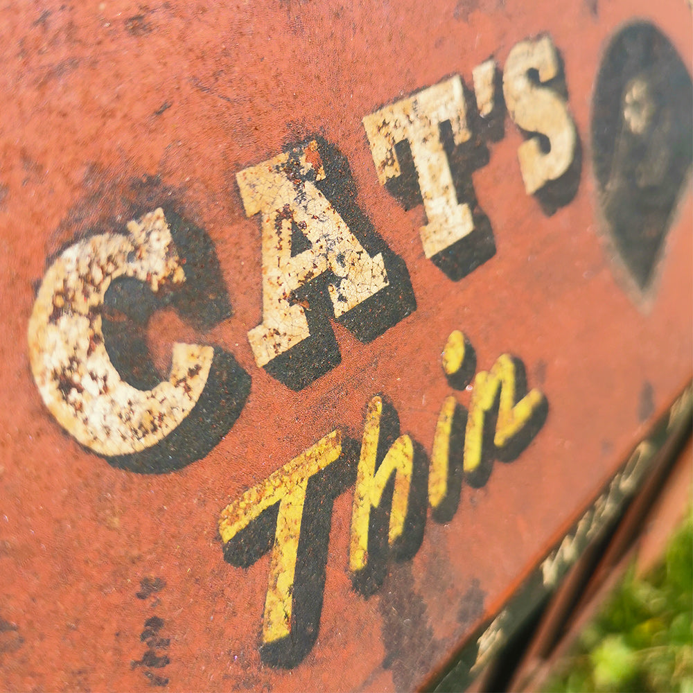 Black Cat Shop Display Stand